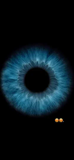 Auge 