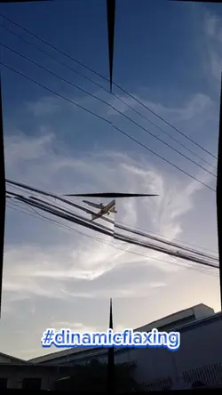 #dynamicflexing