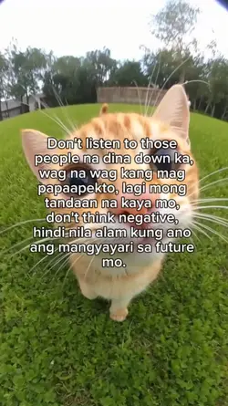wag ka papaapekto 