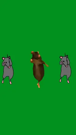 3 rats dance
