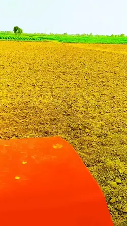 farming  with 385