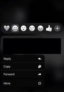 convo & lyrics