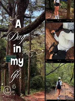 a day in my life