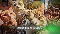 Dekha tumko jabse