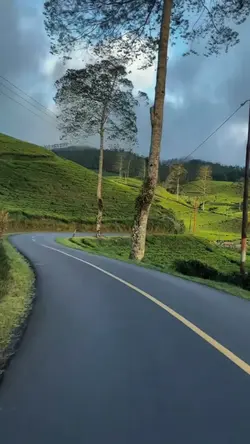 salira kembangmelati