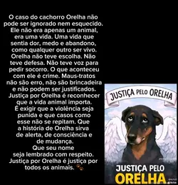JUSTIÇA POR ORELHA!!