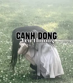 1 ảnh