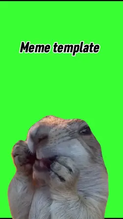 Marmot tongue