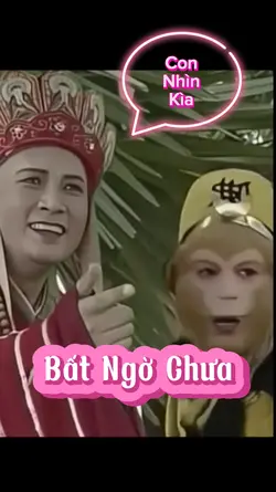 mẫu 1 ảnh