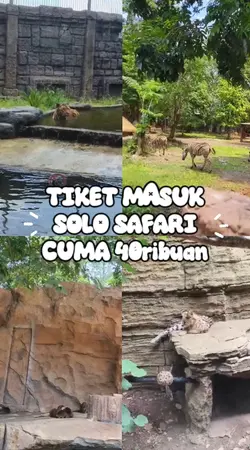  tiket tiktok