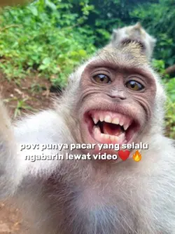 versi mia khalifa