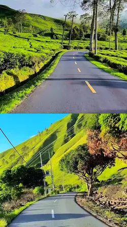 2 video 1 layout hd 