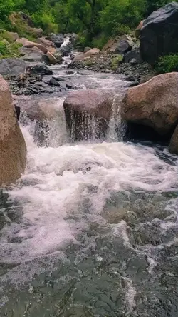  قالب تصميم جاهز 