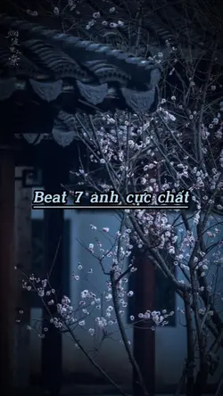 beat 7 ảnh
