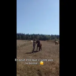 peut être 