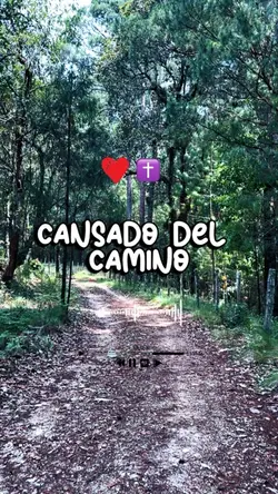 Sediento de ti 