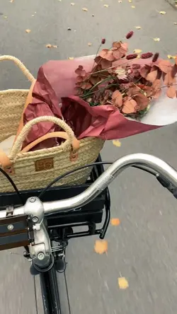 niki vlog