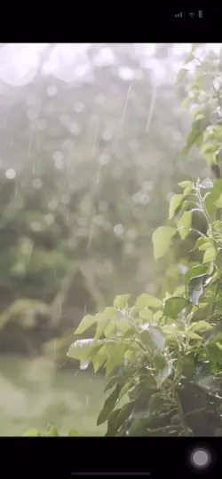 Text in video