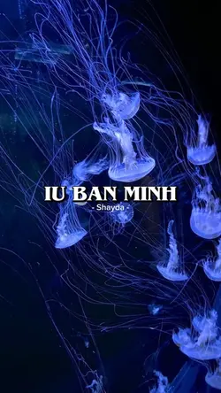 iu bạn mình 