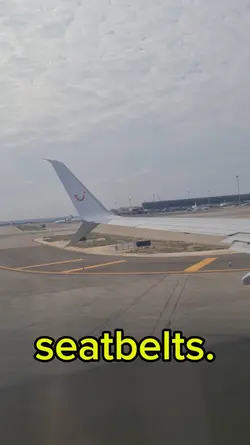 Airplane Seatbelt