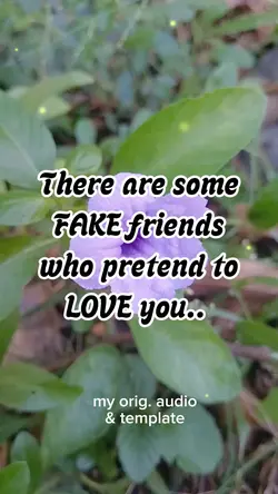 Fake friends