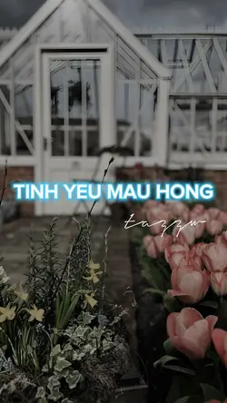 Tình Yêu Màu Hồng