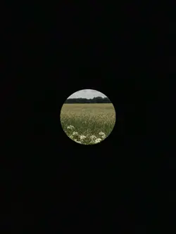 Sarà perché ti amo