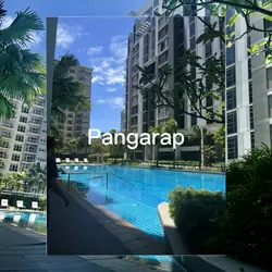 Pangara