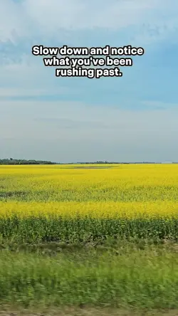 5 video travel vlog