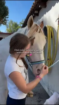 Caballos 💫💞