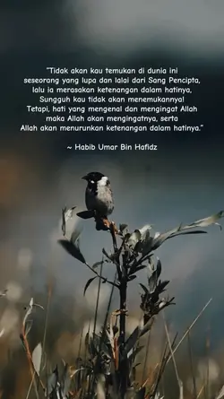 quote islami