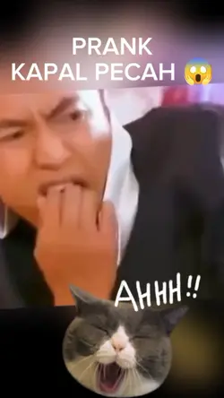 funny videos prank