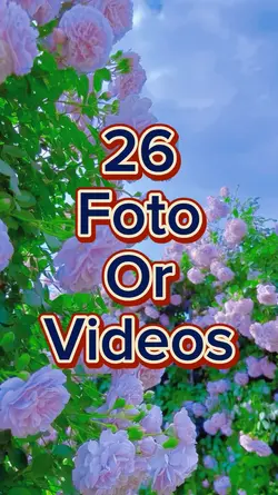 26 Foto Slides