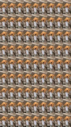 Tayla nine screen 