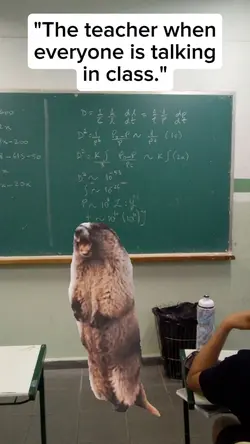 teacher is mad
