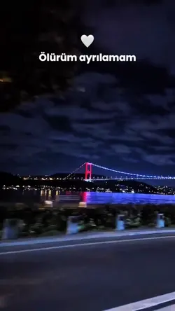 Şablon Viral 