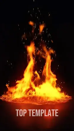 Flame Intro Top