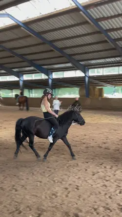 Horse riding 
