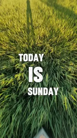 God Today is Sunday