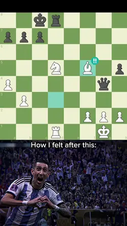 Champ template