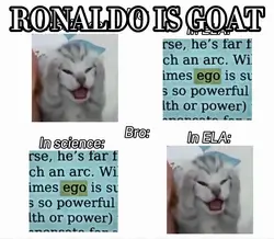 Me vs Bro