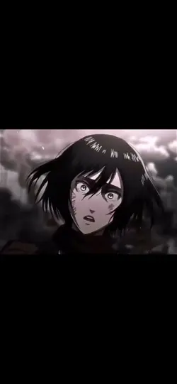 Mikasa