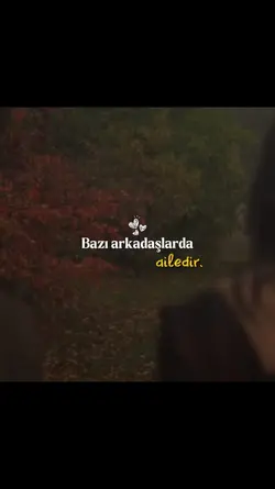 dost