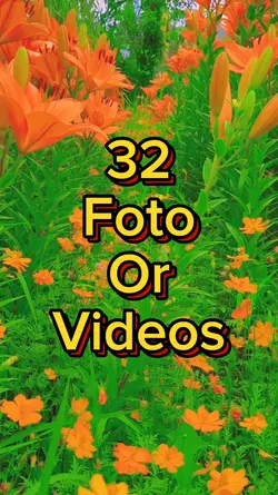 32 Foto Slides