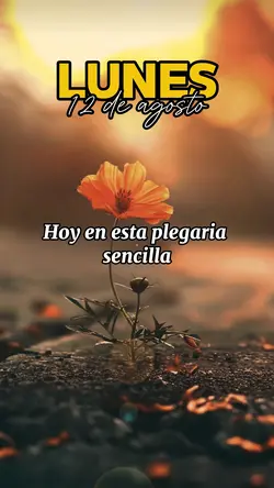 Lunes 12 de Agosto