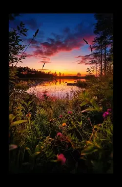 Sunrise Glow