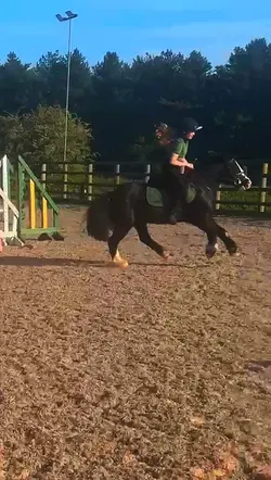 dressage ponyo 💖