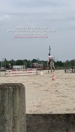 amore mia,chérie,coc