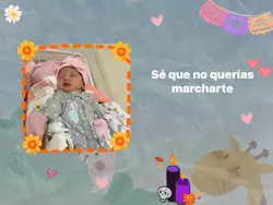 Recordar Bebés 