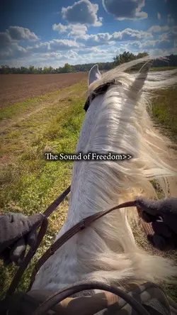 Freedom 🙂↕️💞